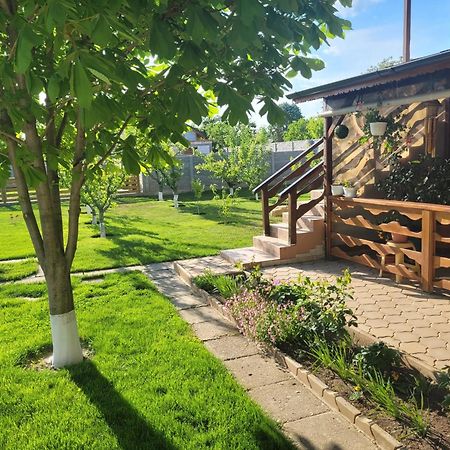 Готель Casa Viviana Baia Екстер'єр фото